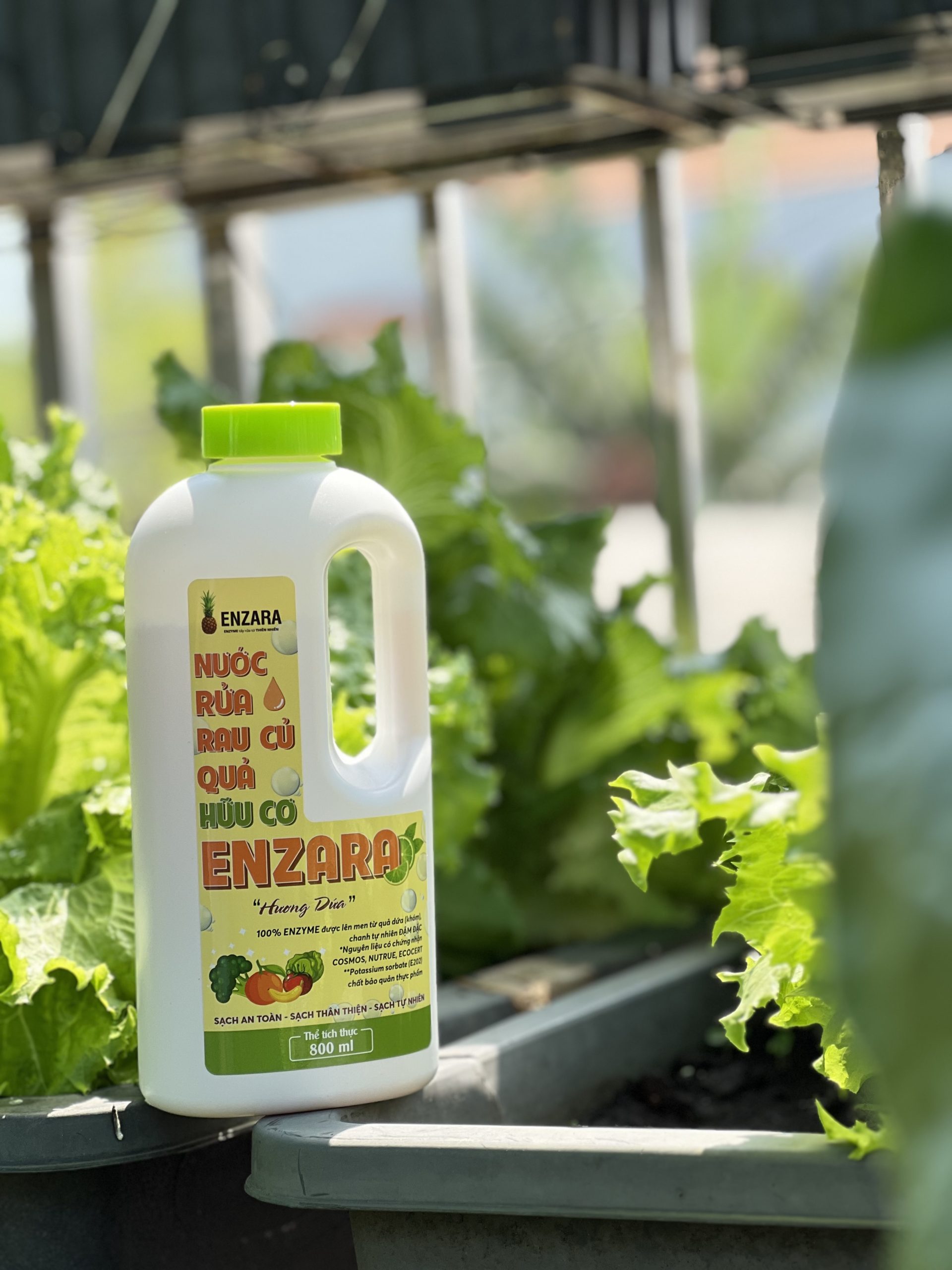 Nước Rửa Rau Củ ENZARA