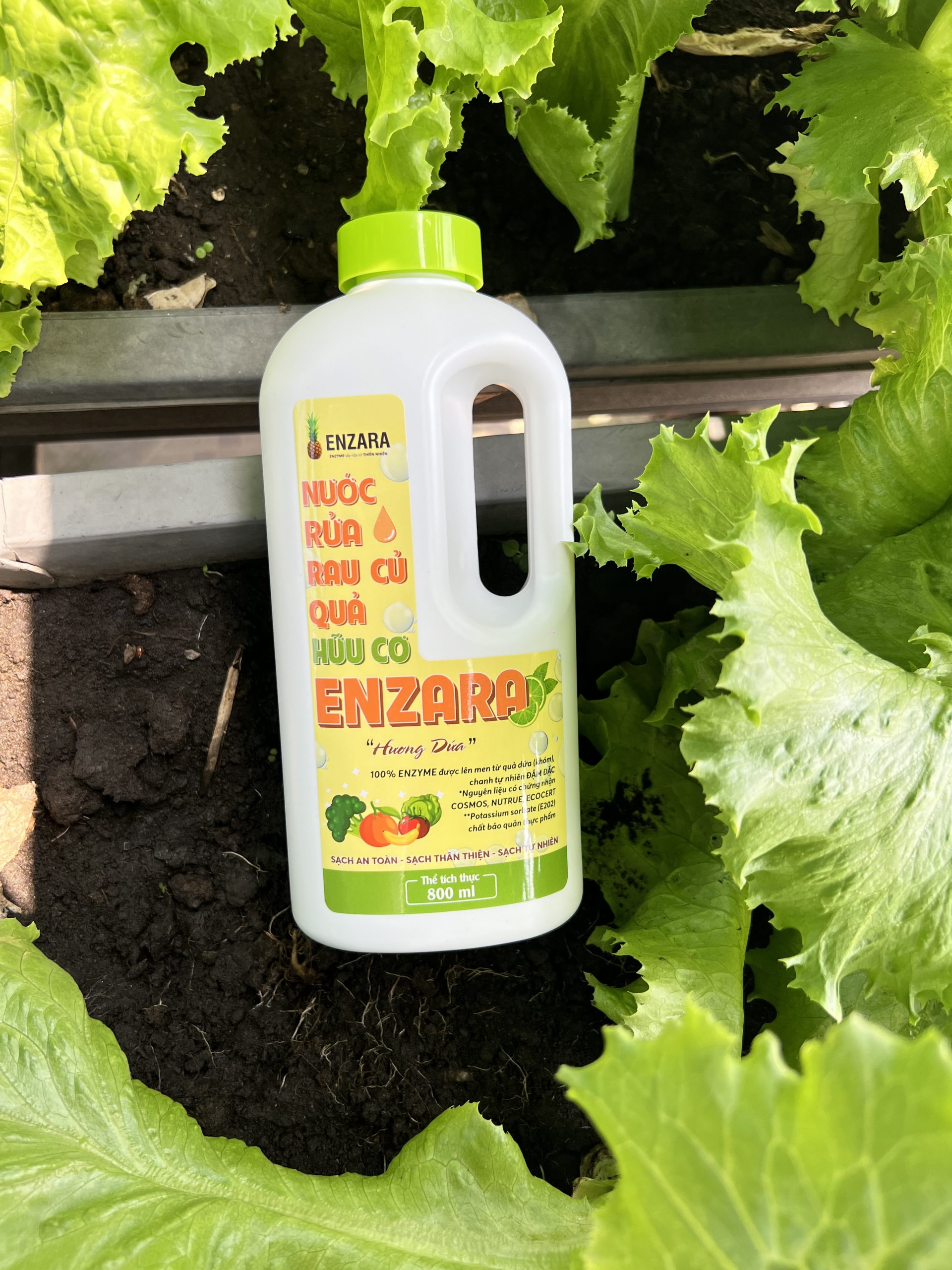 Nước Rửa Rau Củ ENZARA